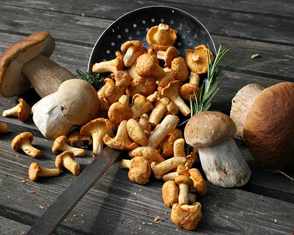 setasproteinanatural-t Las setas, ideales para adelgazar